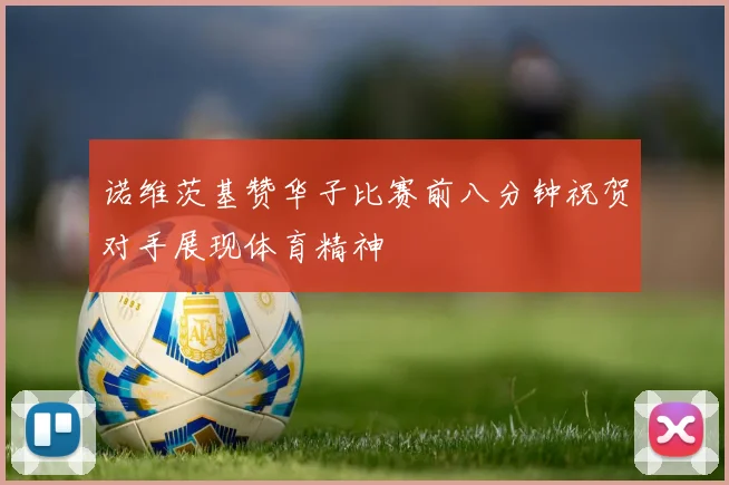 诺维茨基赞华子比赛前八分钟祝贺对手展现体育精神